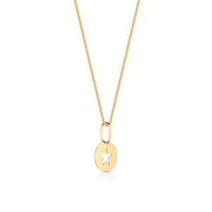 Pingente Estrela em Ouro Amarelo 18k