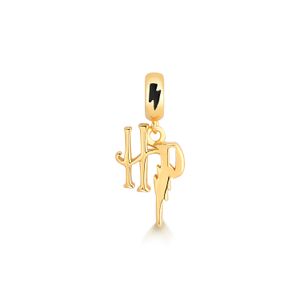 Charm Harry Potter em Prata 925 com Banho de Ouro Amarelo 18k