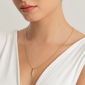 Colar Ponta em Prata 925 com Banho de Ouro Amarelo 18k