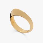 Anel dourado com detalhe preto, com design simples e elegante, visto de lado em fundo branco.