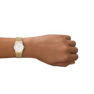 Relógio Skagen Feminino em Aço Dourado SKW3077B1