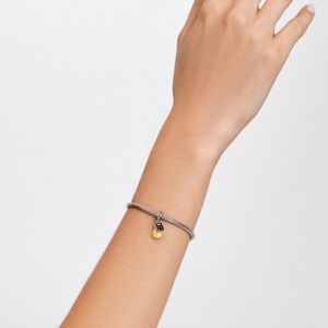 Charm Economia em Prata 925