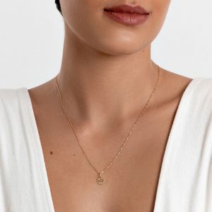 Pingente Peixe Cristão em Ouro Amarelo 18k