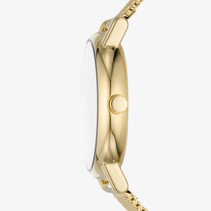 Relógio Skagen Feminino em Aço Dourado e Mostrador Vinho SKW3117B1