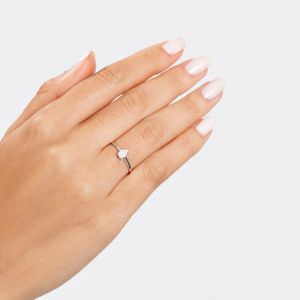 Anel Gota em Ouro Branco 18k