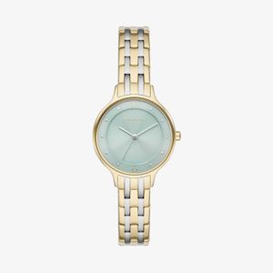 Relógio Skagen Feminino em Aço Bicolor e Mostrador Azul SKW3132B1