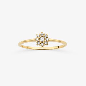 Anel com Diamantes em Ouro Amarelo 18k