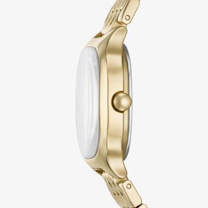 Relógio Skagen Feminino Mellem Lille em Aço Dourado SKW3162B1